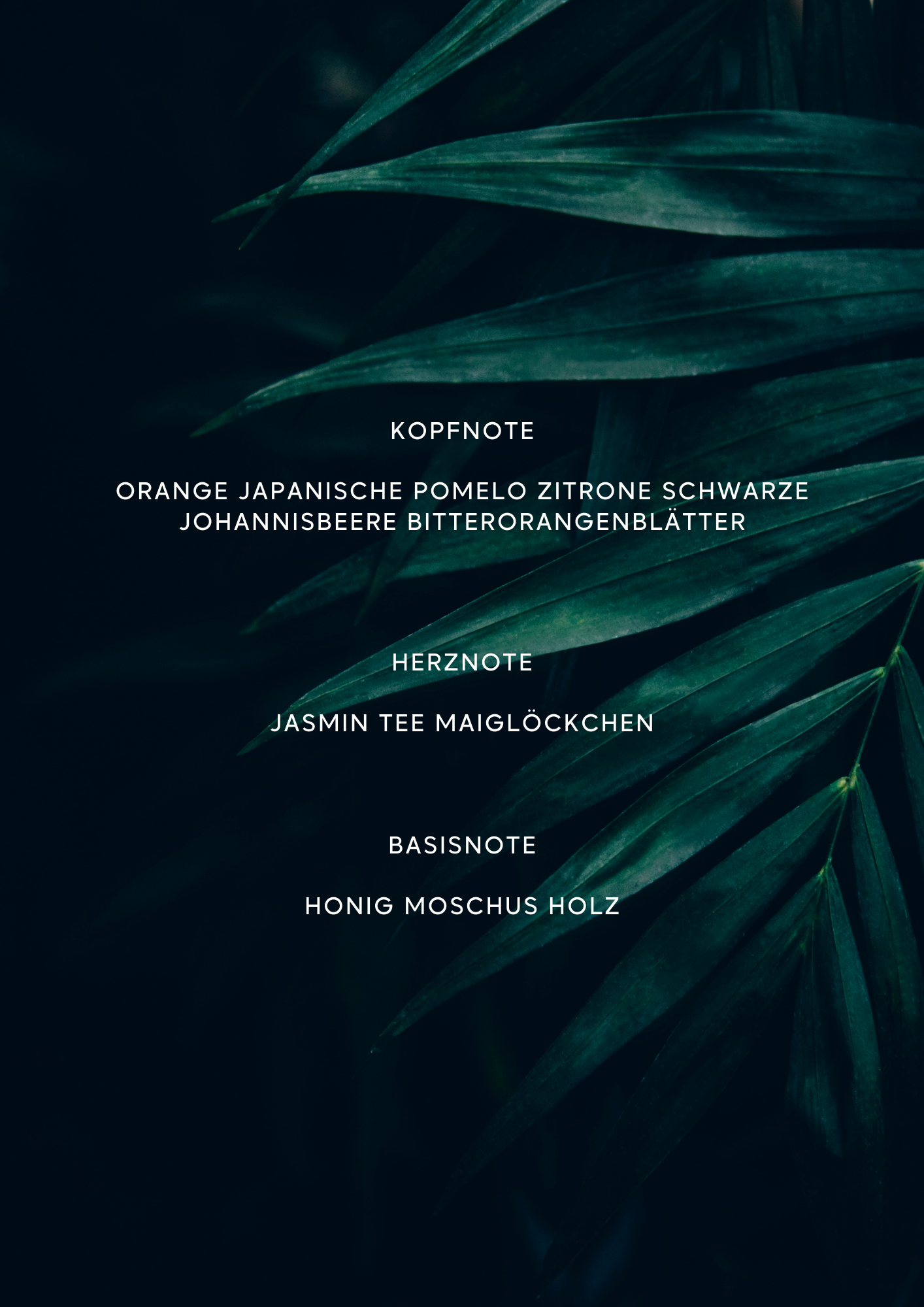 Karth – Die Essenz von Luxus und Tiefe