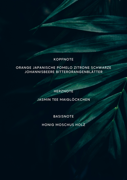 Karth – Die Essenz von Luxus und Tiefe